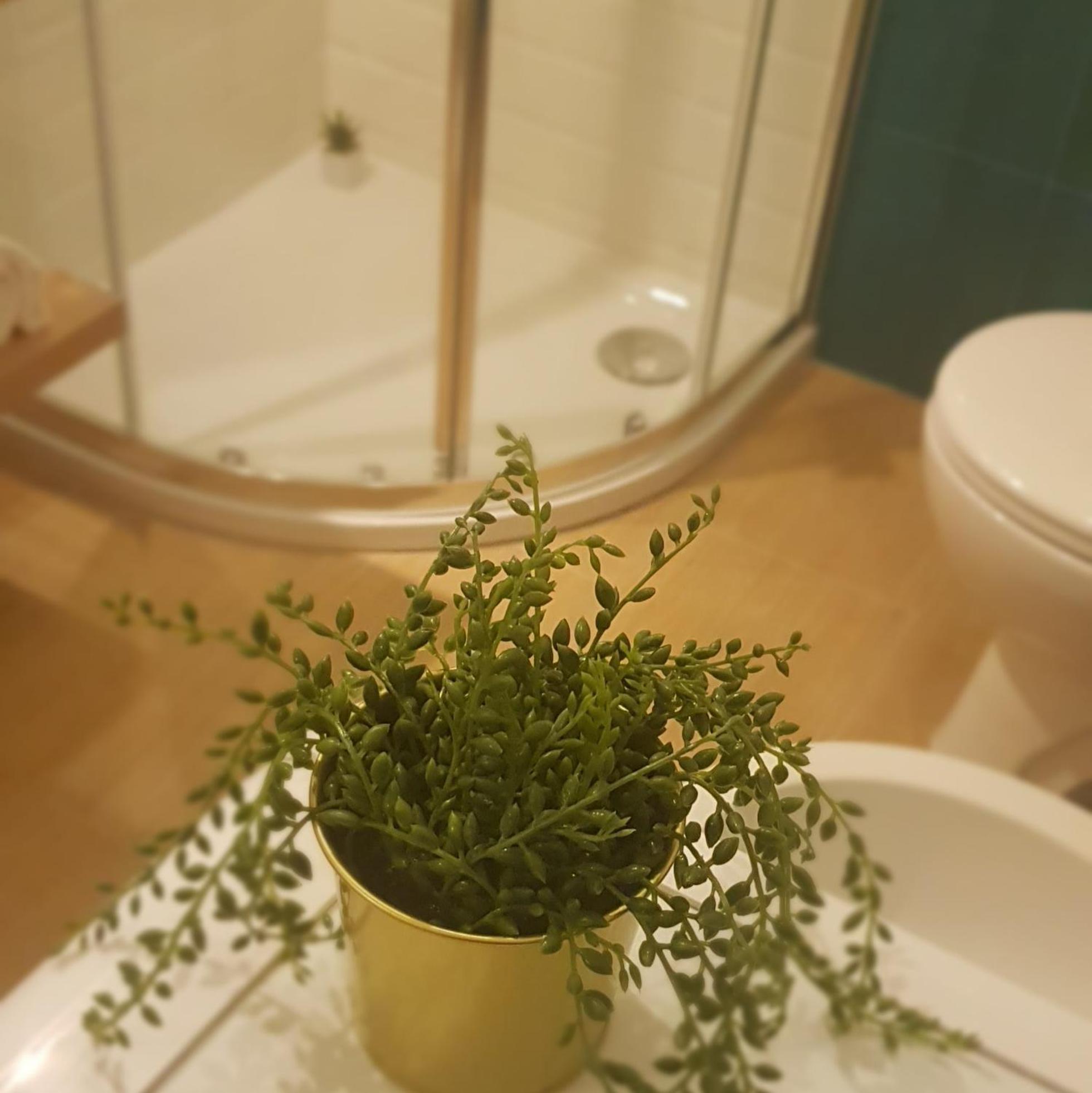 Arca Conte Rosso Apartments Mestre Room photo
